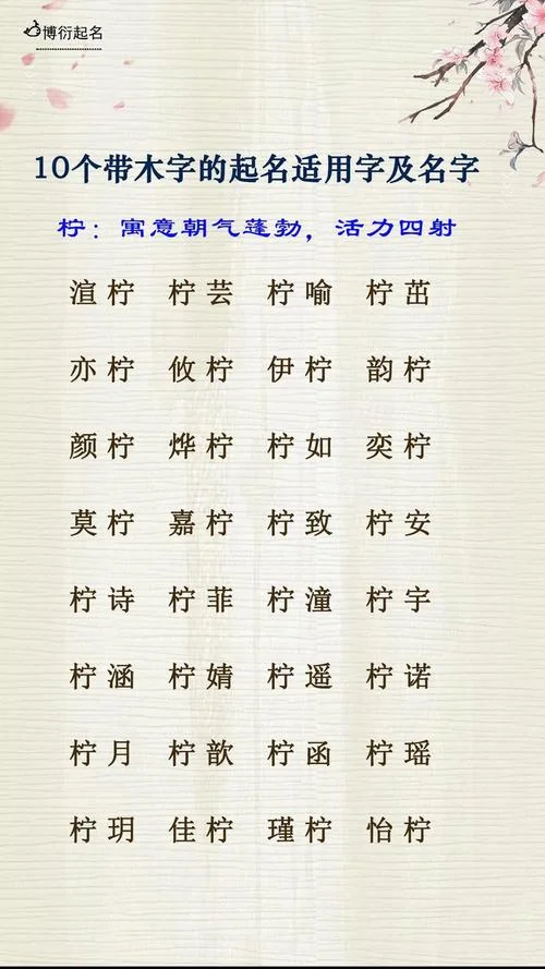 属猪缺木女孩起名_1