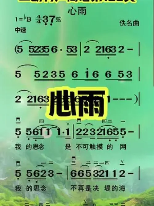 心雨歌词是谁写的_1