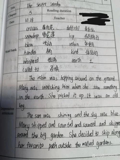 英语阅读感悟_2