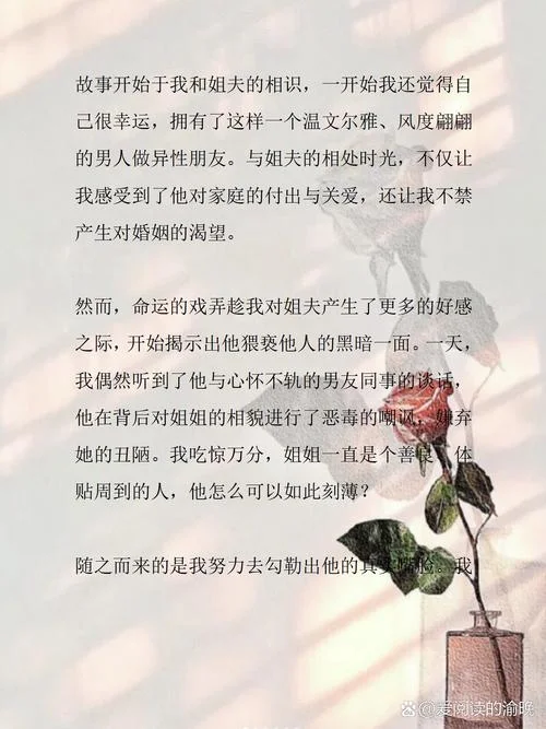 我和姐夫关系怎么写_1