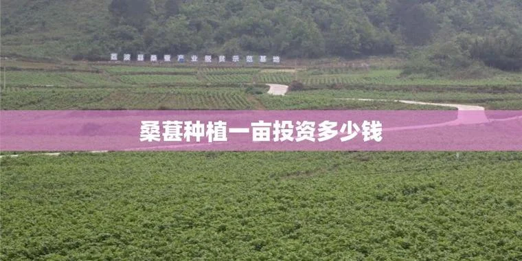 1亩地卖多少钱_2