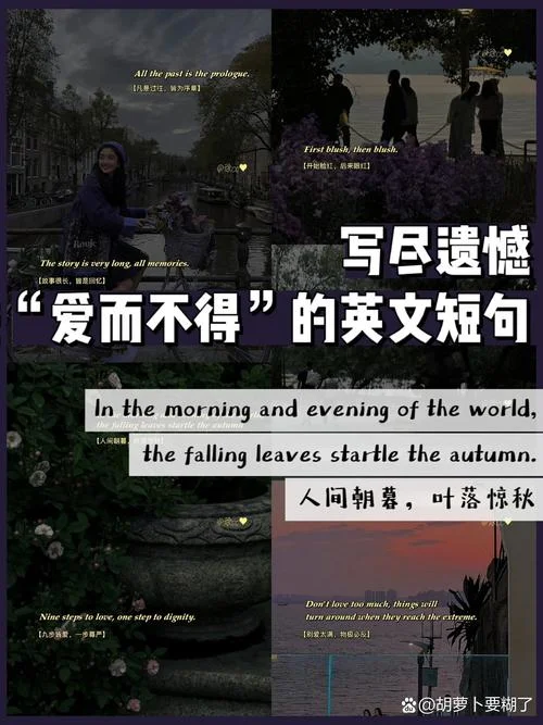 爱情感悟的句子英文_1