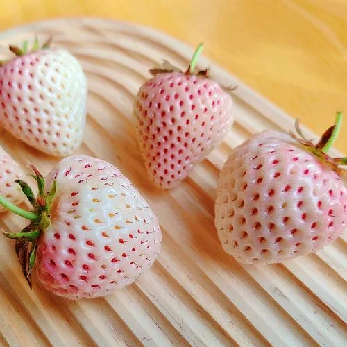 梦见买草莓_1