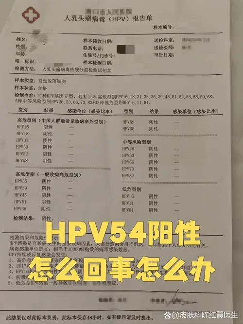 什么是阴性和阳性肿瘤_1