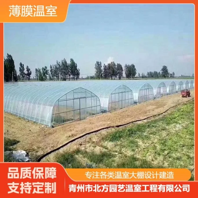 温室大棚一亩地多少钱-温室大棚每亩造价
