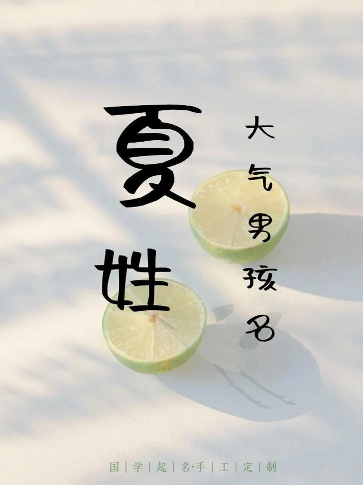夏姓男宝宝起名参考_2