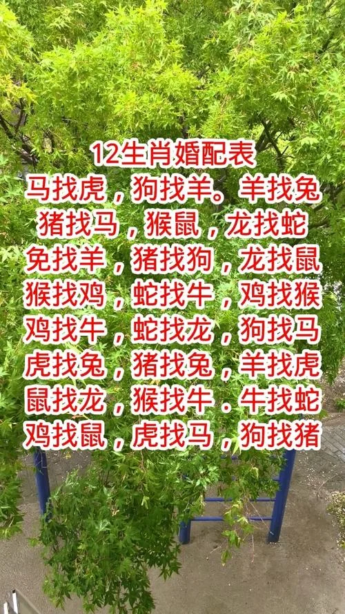 1990年出生属相婚配_2