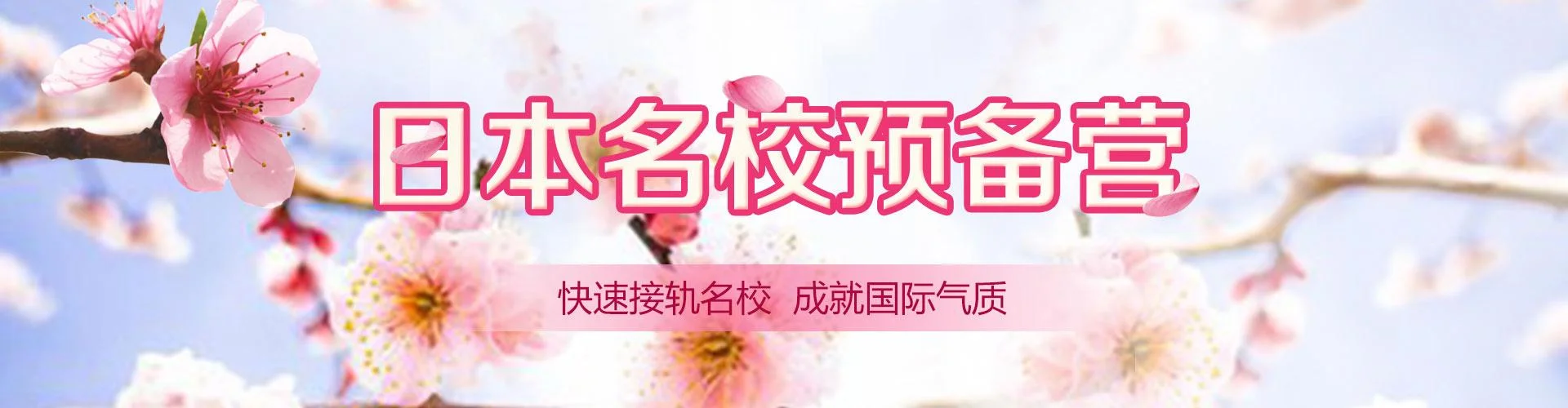 启德留学机构煞笔事件-启德留学机构事件