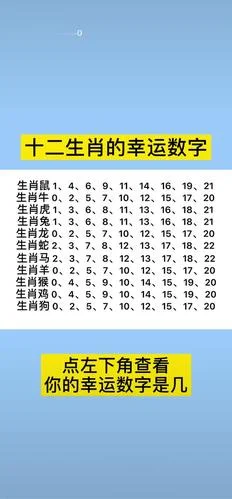 梦见打老虎幸运数字_2