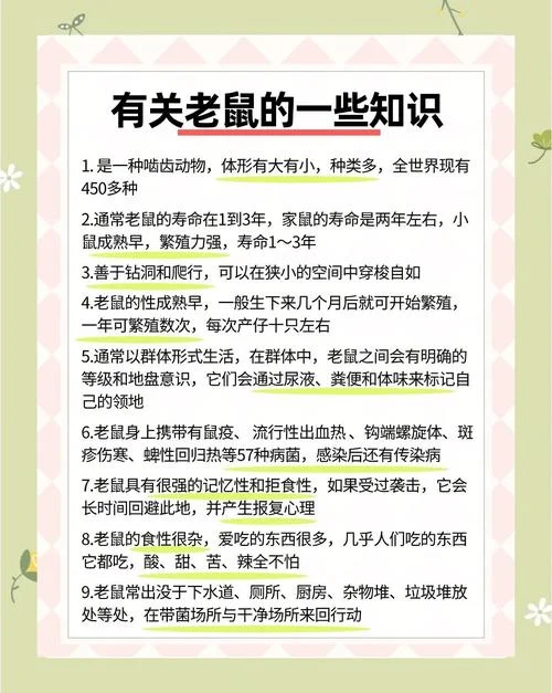 大鼠文言文出处_1