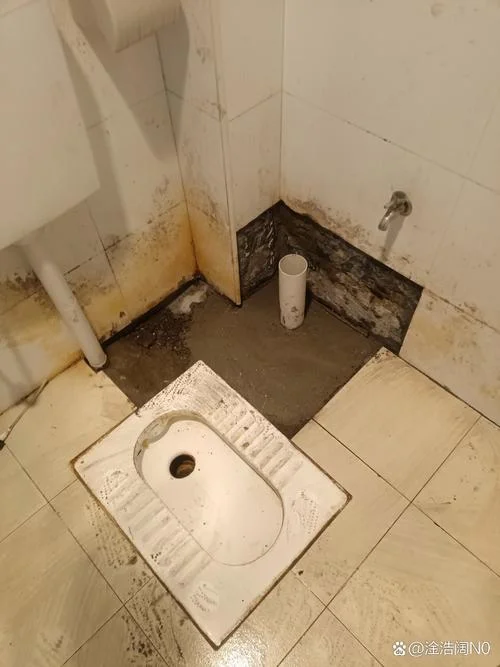 梦见租房子卫生间漏水_2