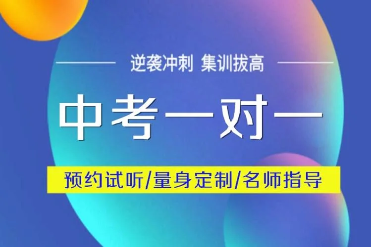 中考历史一对一冲刺-中考历史一对一冲刺