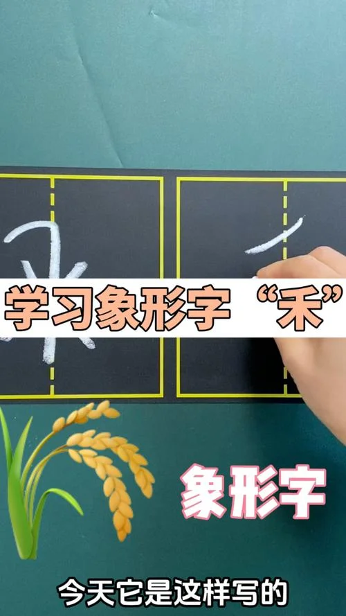 禾字的出处_2