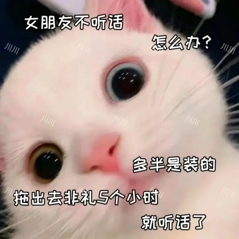 女朋友太作怎么办_1