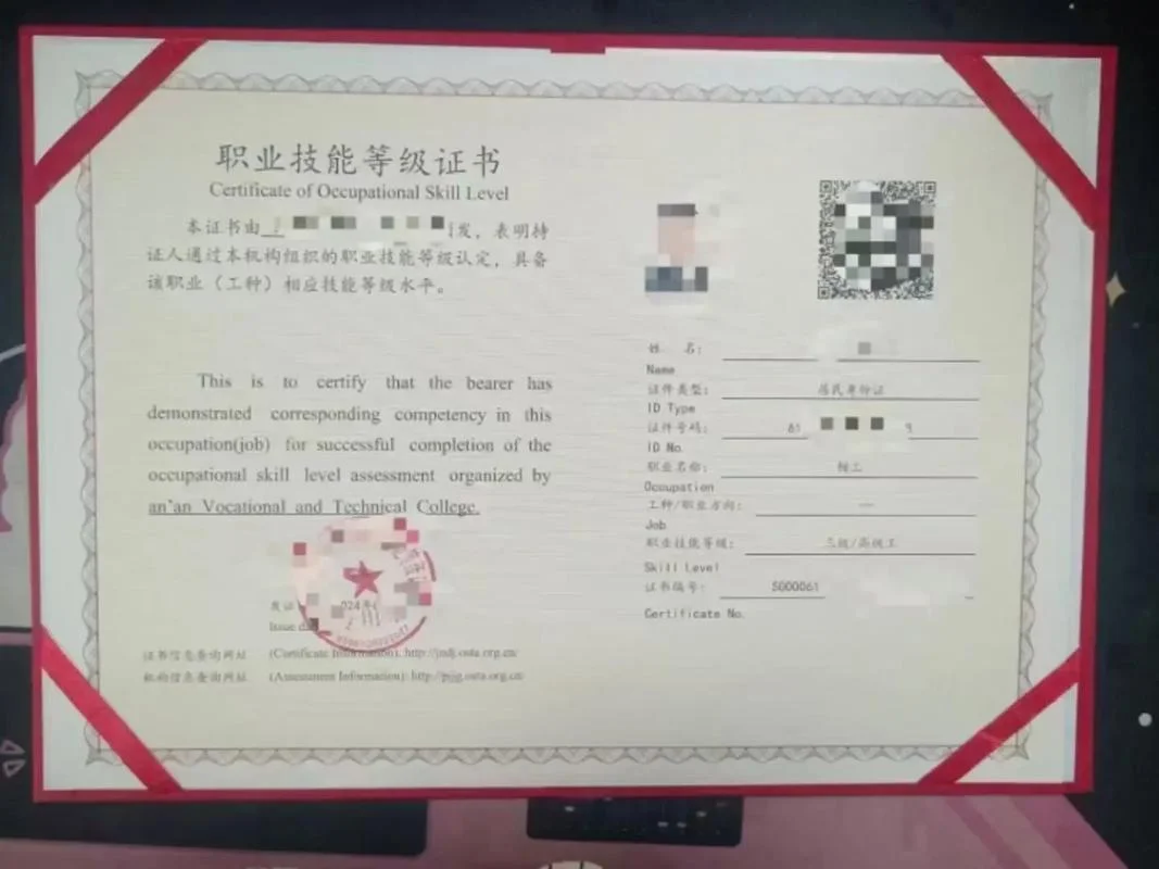 技工技能证书查询-技工技能证书查询