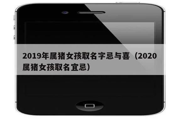 周易猪宝宝起名字大全_1