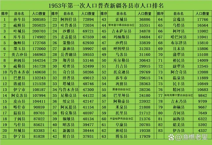人口普查是哪年-2020 年人口普查