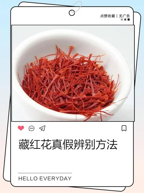 藏红花出自哪个国家_2