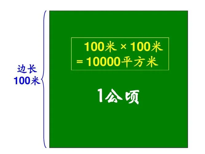 100hm2是多少平方米_1