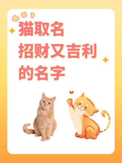 猫起名字怎么教-猫起名教学指南
