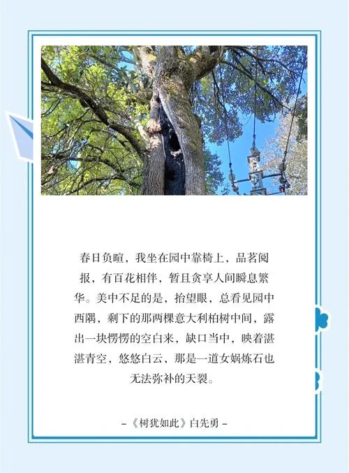 美在深情的感悟_1