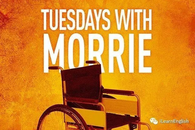 tuesdays with morrie读后感-读后感字数限制