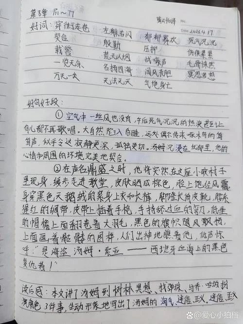 汤姆索亚历险记感悟200字-小说感悟 200 字