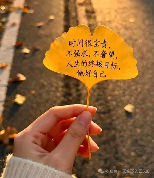 有哲理的人生感悟_1
