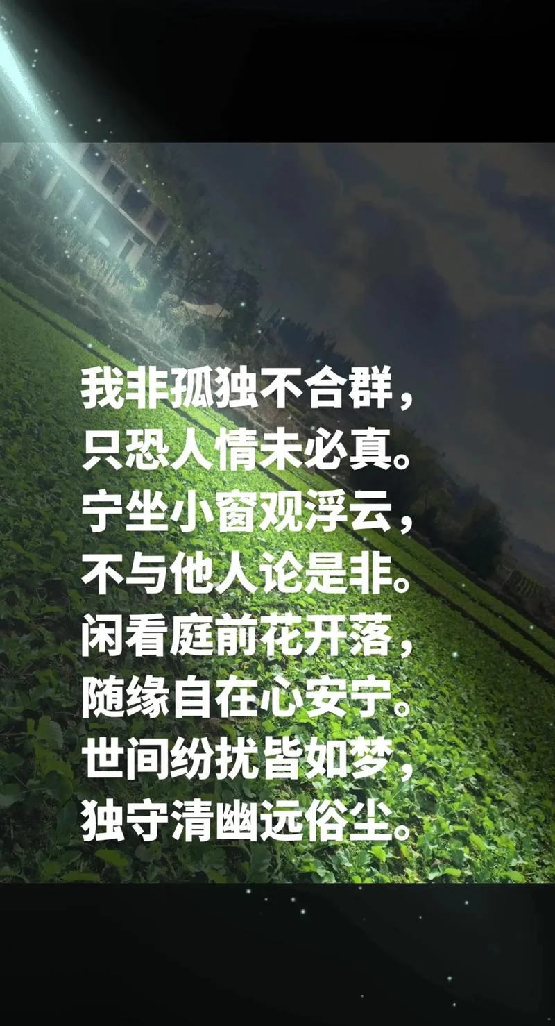 寂寞如影寂寞如随出自_2