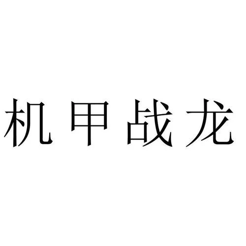 战龙集团是什么公司_2