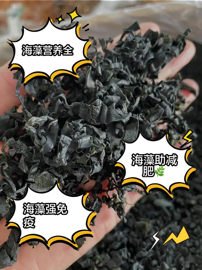 海洋药学是干什么的_1