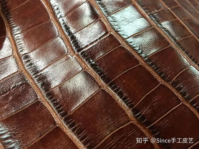 梦见鳄鱼皮_1