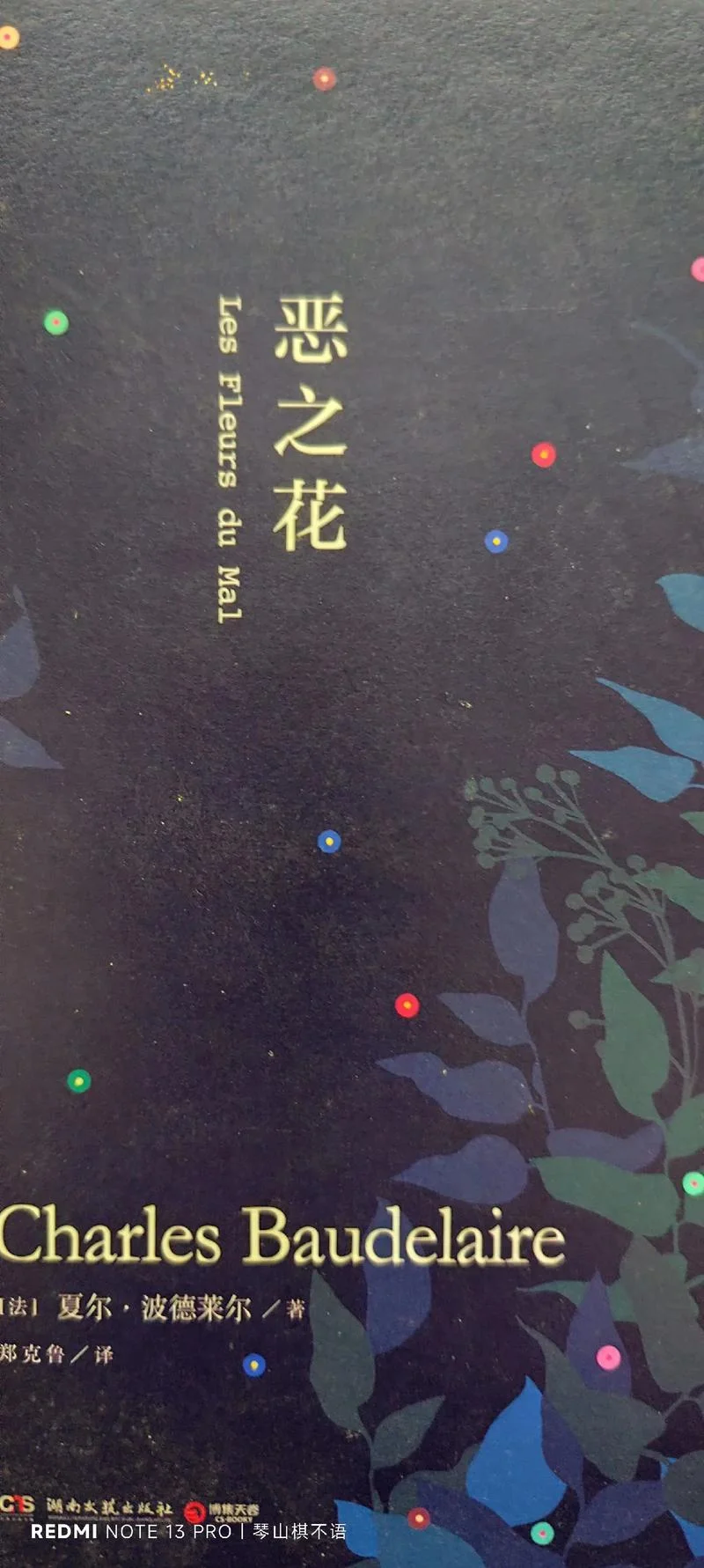 诗集恶之花的作者是谁_2