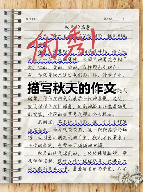 枫树的作文怎么写300字-枫树作文 300 字