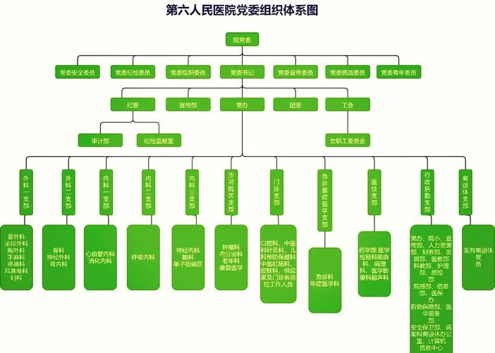 企业组织架构图在哪里查_1