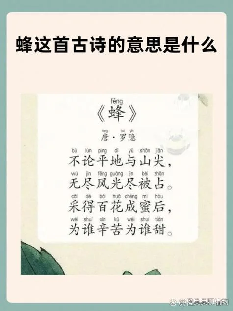 蜜蜂是谁写的_1