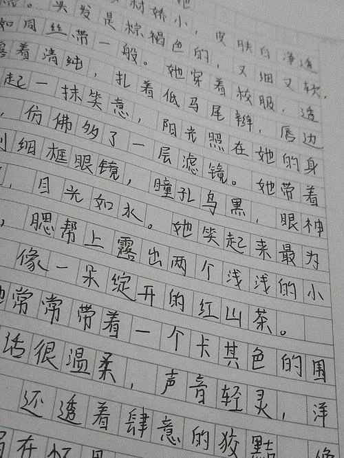 写人外貌的作文200字_1