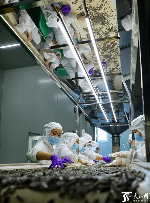 有资质的保健品加工厂_2