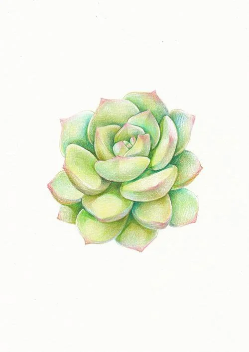 生日贺卡简笔画大全_1