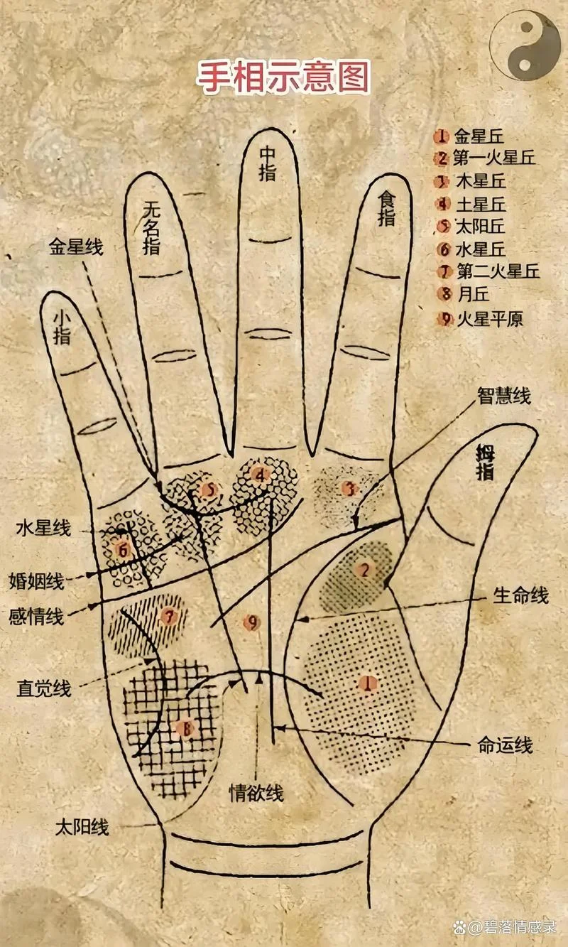 男人寿命手相怎么看_2