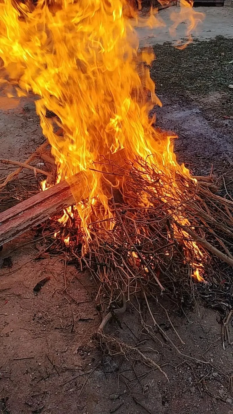 梦见放火烧草是什么意思_2