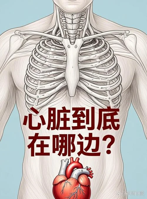 心脏在右边叫什么人_1