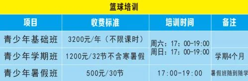 篮球培训公司项目简介_2