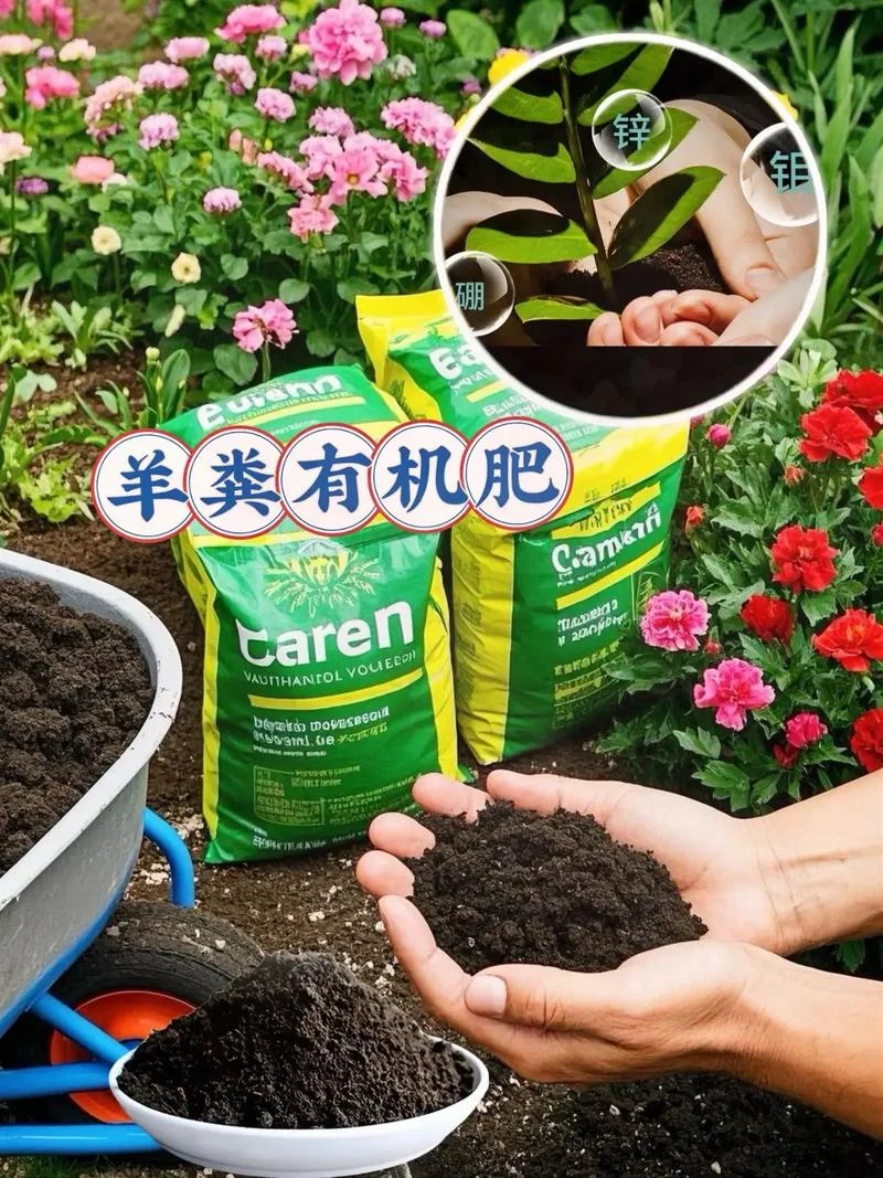一亩大棚需要多少有机肥_1