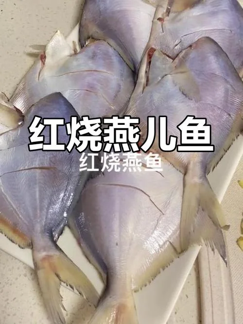 清蒸燕鱼怎么做好吃_1