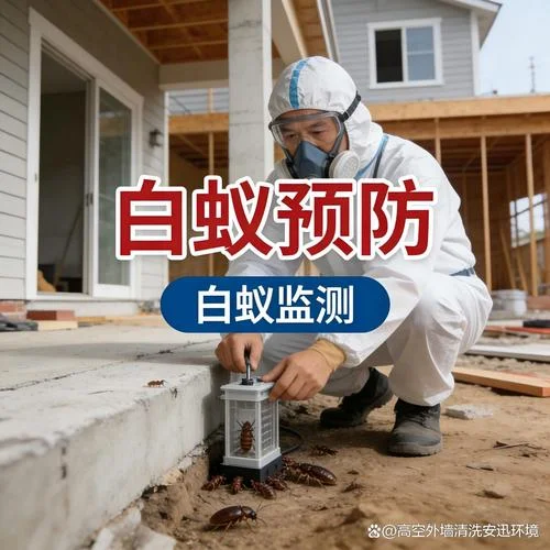 杀蟑螂公司哪家有实力_2