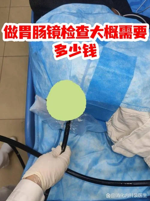 胃镜下治疗项目大全_1