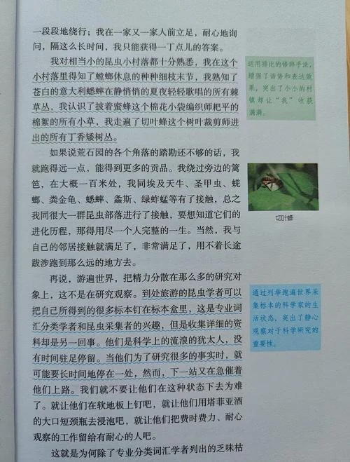 昆虫记松毛虫感悟_1