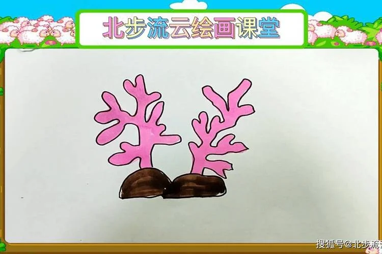珊瑚的简笔画大全_2