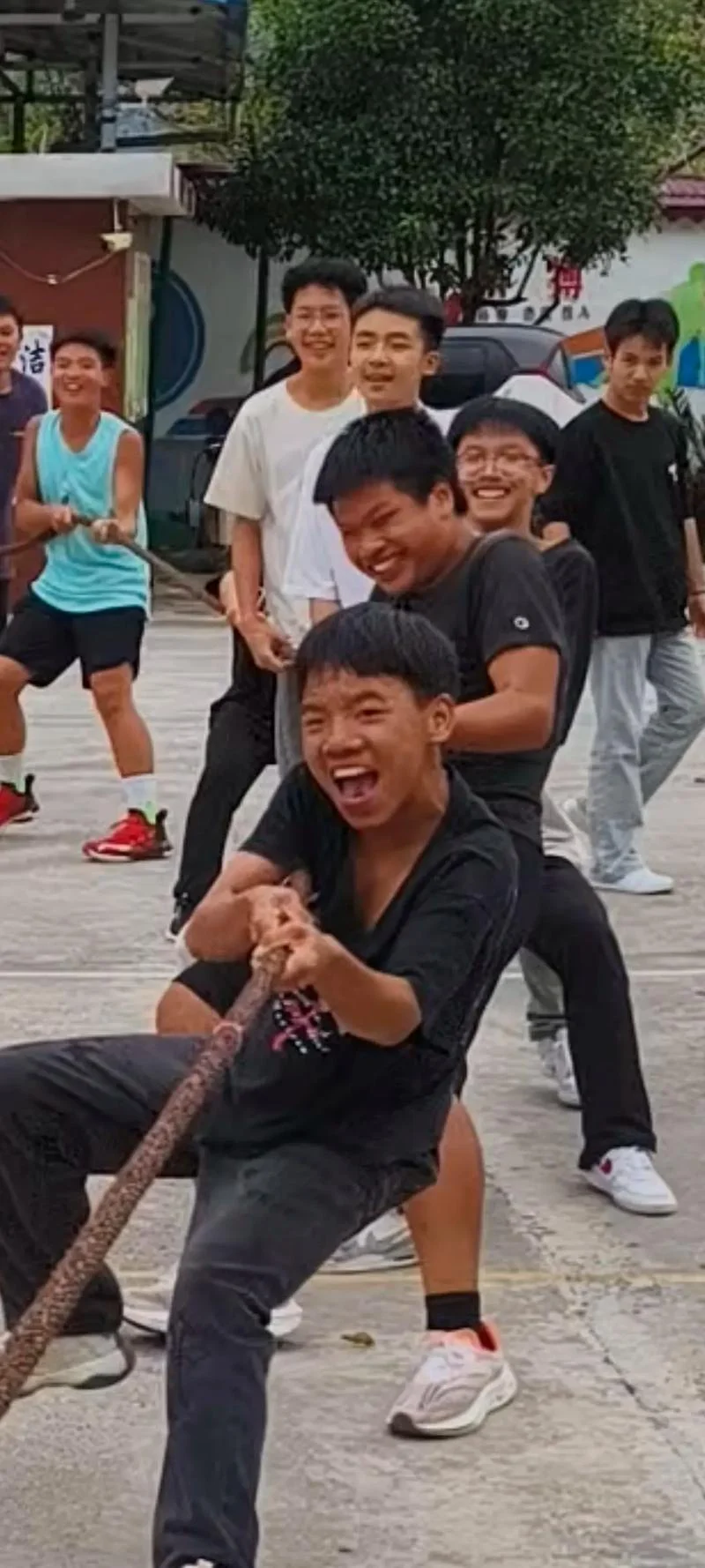 表情包出处拔河大妈-拔河大妈表情包